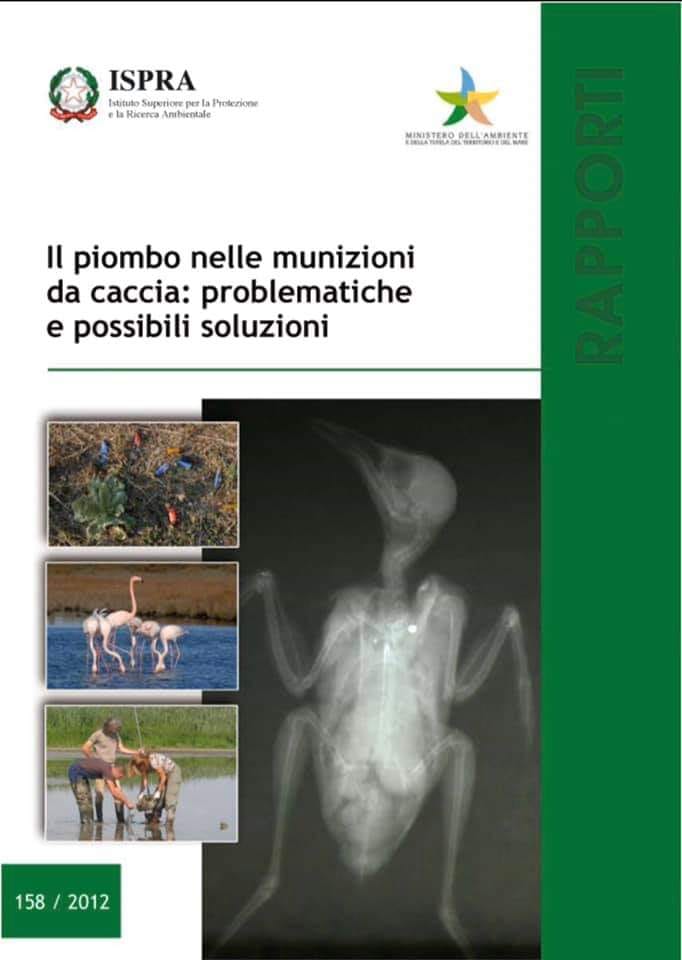 SIGLATO UN TRATTATO TRA ITALIA E 119 PAESI PER LA SALVAGUARDIA E CONSERVAZIONE DELLE SPECIE MIGRATORIE CACCIATORI AVVISATI, SPARARE SU SPECIE MIGRATORIE SI RISCHIA LA GALERA
