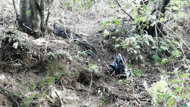 IL COMUNE ISTITUISCE UN CORPO DI “SERVIZIO DI ECOLOGIA” MENTRE ALLA PELARA SI TROVA UNA MINI DISCARICA