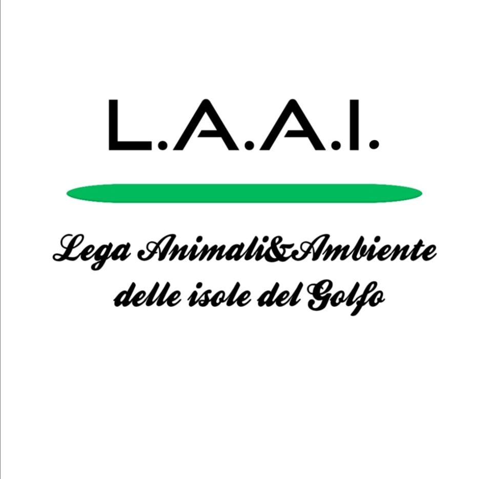 È NATA UNA NUOVA ORGANIZZAZIONE DI VOLONTARIATO. L.A.A.I. (LEGA ANIMALI & AMBIENTE DELLE ISOLE DEL GOLFO)