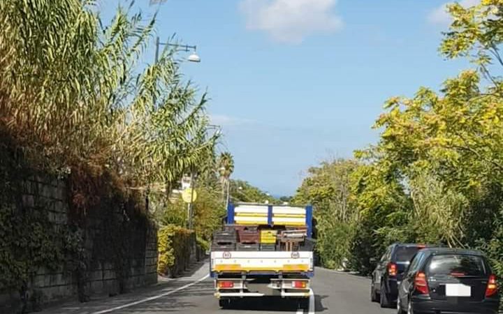 SINDACO FERRANDINO LE DOPPIE STRISCE NON SERVONO SE I GUIDATORI SONO DEGLI ANIMALI (con rispetto ai veri animali)