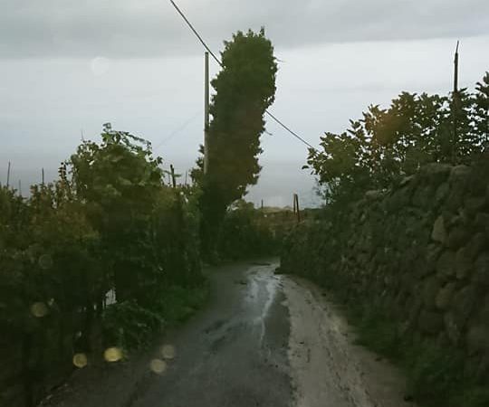 LA DENUNCIA DI UN LETTORE.  QUEL PALO PERICOLANTE DEVE ESSERE RIMOSSO. DOBBIAMO ASPETTARE PRIMA IL MORTO?