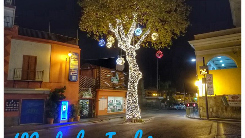 IL PLATANO ILLUMINATO, AL VIA LE FESTIVITA’ NATALIZIE