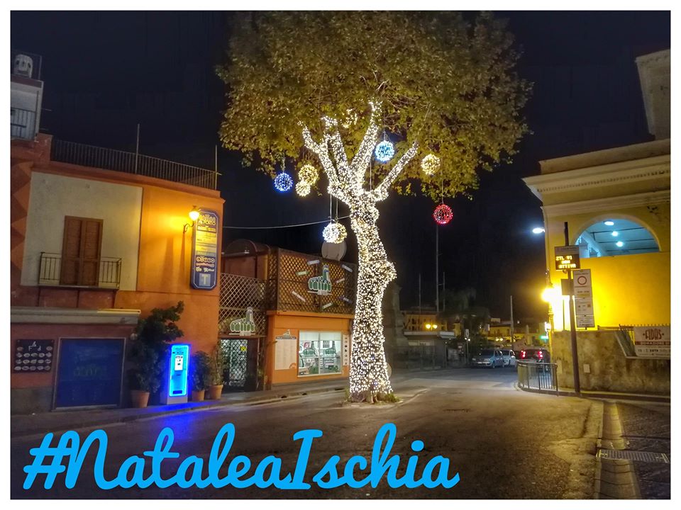 IL PLATANO ILLUMINATO, AL VIA LE FESTIVITA’ NATALIZIE