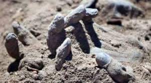 REGNO delle DUE SICILIE: STRAGI IMPUNITE DEI PIEMONTESI AL SOLDO DELLA MASSONERIA