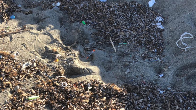 Lacco Ameno, la spiaggia dei rifiuti pericolosi