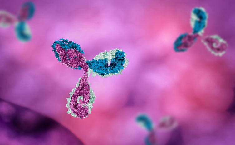 È pronto un primo farmaco per contrastare covid-19. È un anticorpo monoclonale