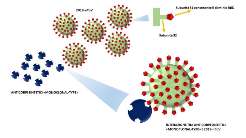 Coronavirus: facciamo il punto su cure e vaccini