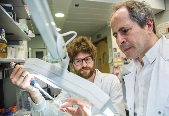Crisanti: “Hanno sottovalutato l’epidemia a favore dell’economia”. Bergamo andava chiusa subito