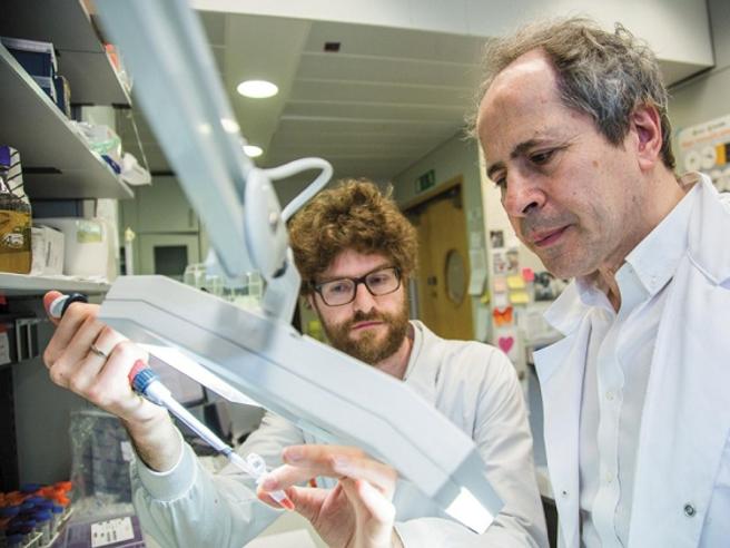 Crisanti: “Hanno sottovalutato l’epidemia a favore dell’economia”. Bergamo andava chiusa subito