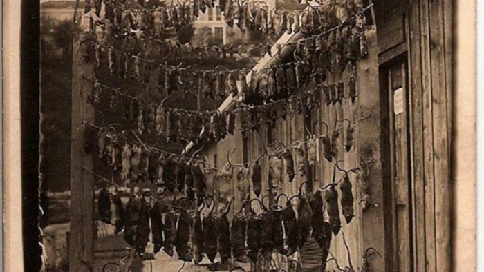 Zaia: i cinesi si mangiano i «topi vivi». L’ambasciatore cinese Lì lo bacchetta