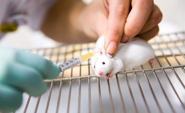 5G: Essere uomini o essere topi?