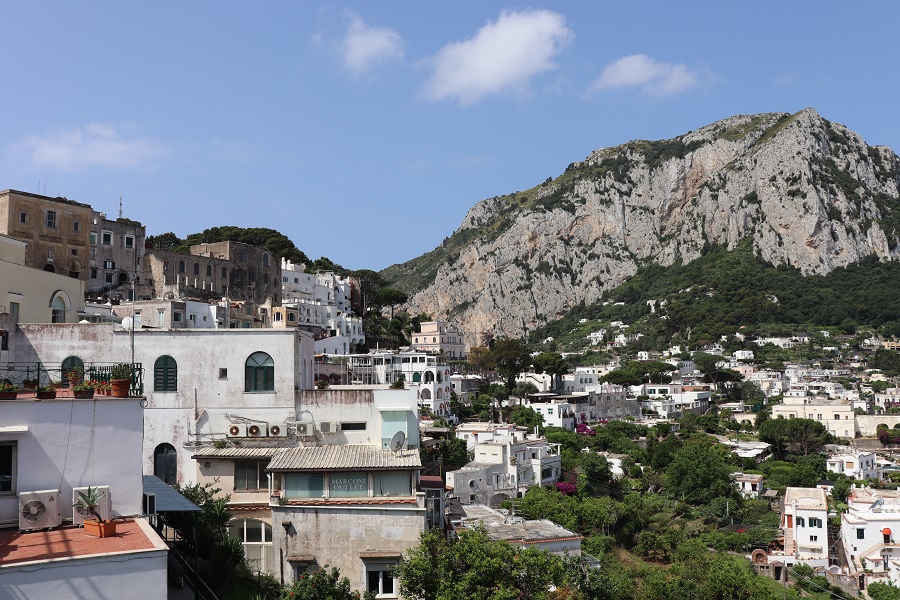 Protocollo di collaborazione, emergenza Covid-19 Capri