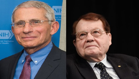 Covid-19, virus di laboratorio? Anthony Fauci e le evidenze scientifiche dicono di no