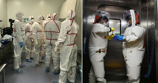 Virus e bugie: a quando la verità?