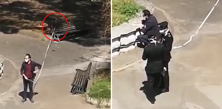 Angri, portava a spasso il pappagallo. Multato dai carabinieri (video)