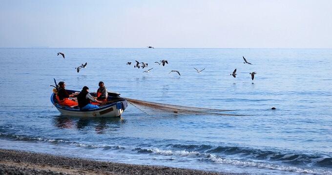 Pesca, assessore Caputo: “senza accordo Stato-Regioni, i pescatori rischiano di perdere i fondi europei”