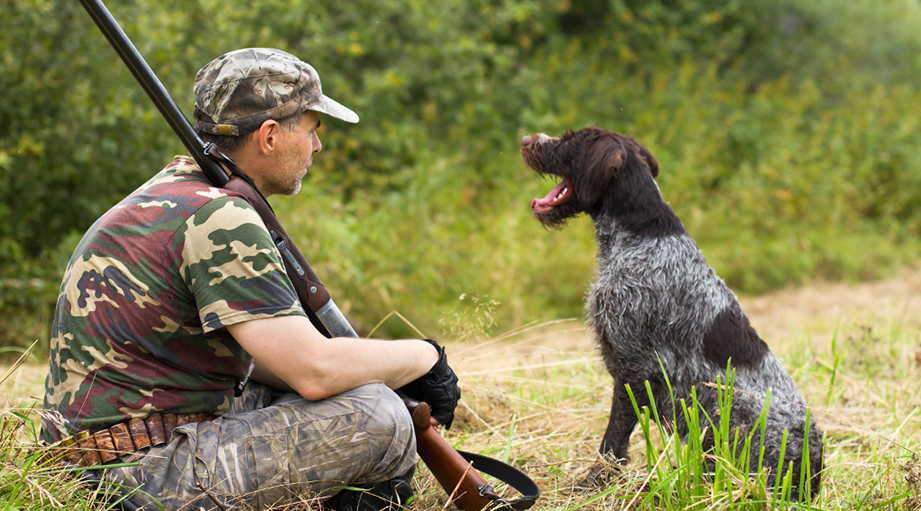 Tar boccia la delibera che anticipa la stagione della caccia in Campania