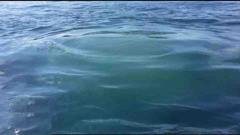 Iniziano i lavori alla condotta fognaria a Forio