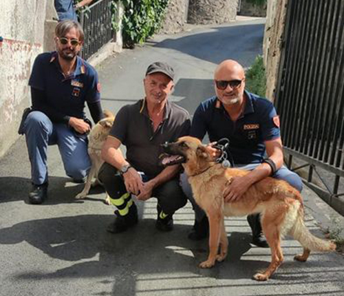Salvati due cani da morte certa dalla Polizia e dai Vigili del Fuoco di Ischia