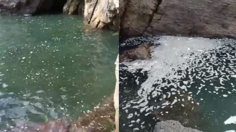 Incredibile a Cartaromana. Colonna scarica direttamente a mare (video)