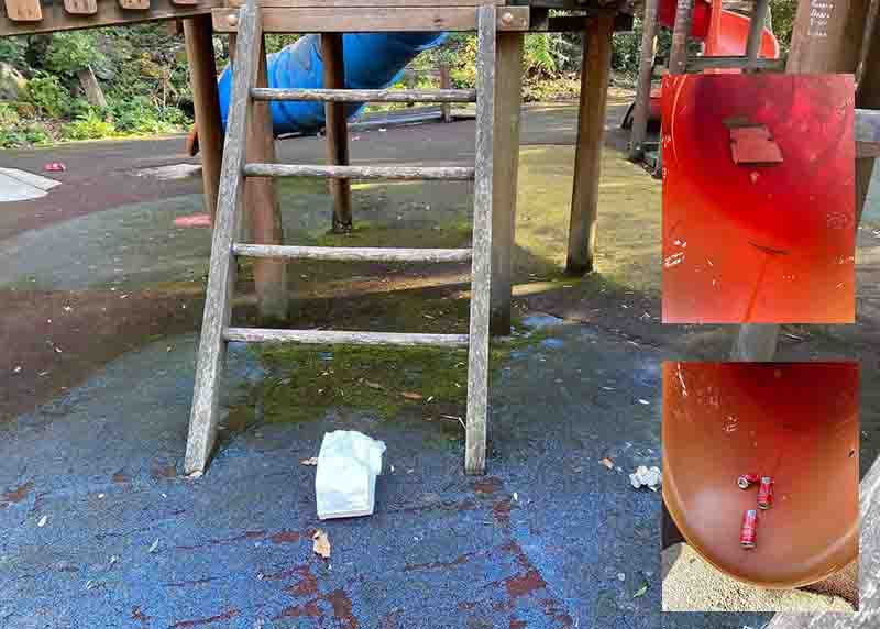 Parco giochi nella Pineta degli atleti di Ischia usata come discarica