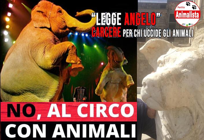 Carcere per chi uccide animali e basta animali al circo