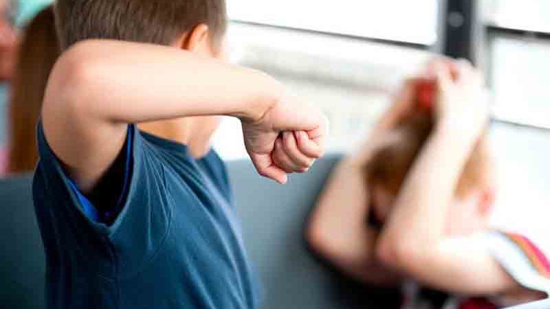 Le idee didattiche da sperimentare contro il bullismo