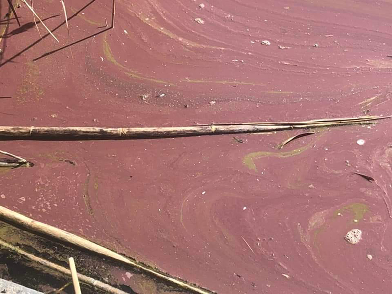 Il lago d’Averno si colora di rosso
