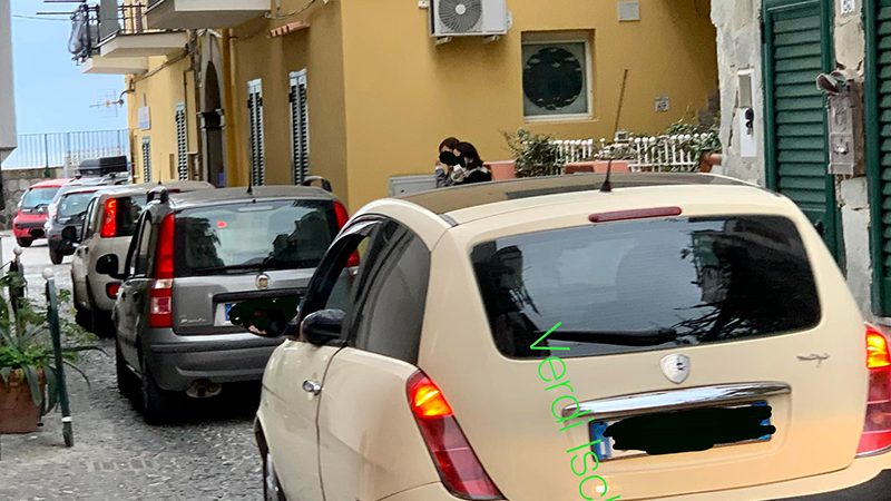 Una domenica bestiale a Ischia Ponte