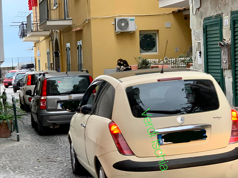 Una domenica bestiale a Ischia Ponte