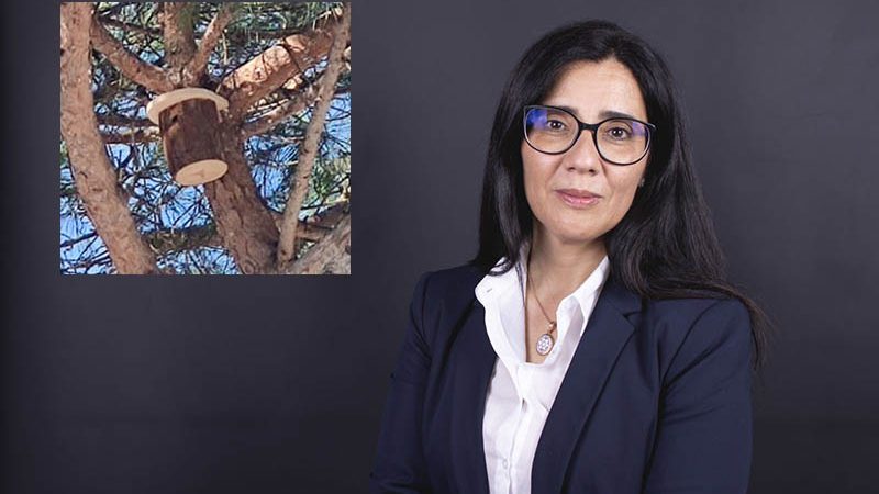 Serrara Fontana. Il sindaco Irene Iacono salvaguarda la natura