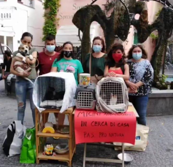 Alcuni volontari della pas pronatura, a titolo personale, manifestano il loro dissenso