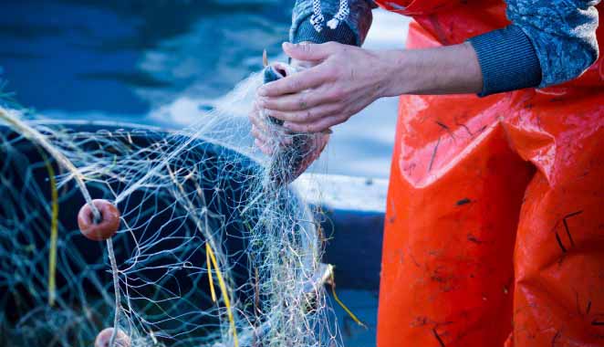 I pescatori di Ischia sono i veri guardiani dell’ambiente (video)
