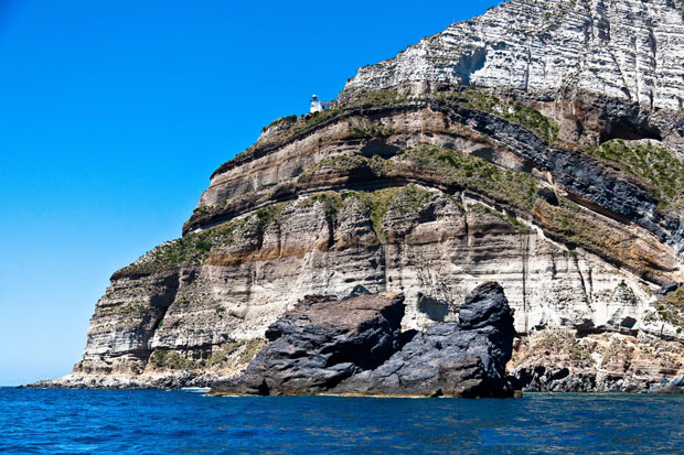 Noi siamo ciò che buttiamo (video)