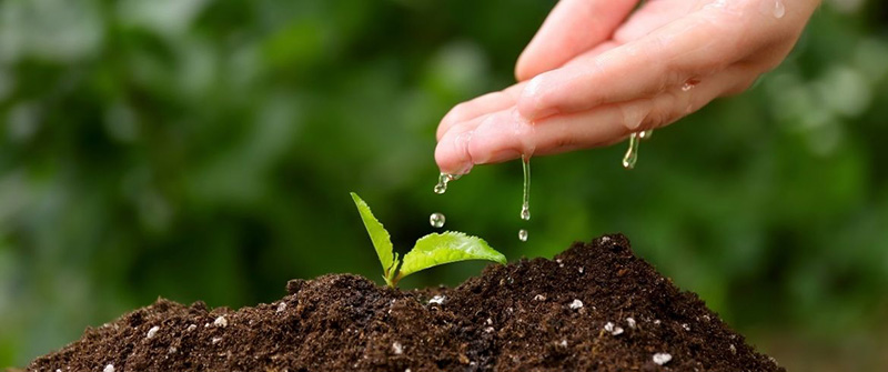 5 giugno, giornata mondiale dell’Ambiente: #Solounaterranonesufficiente quello che si fa per preservarla