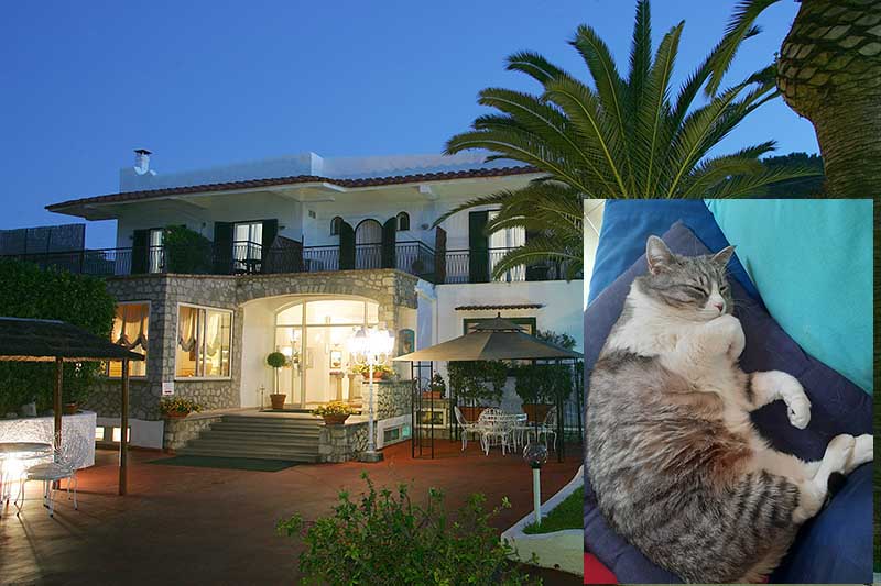 Padrona e gatta finalmente insieme