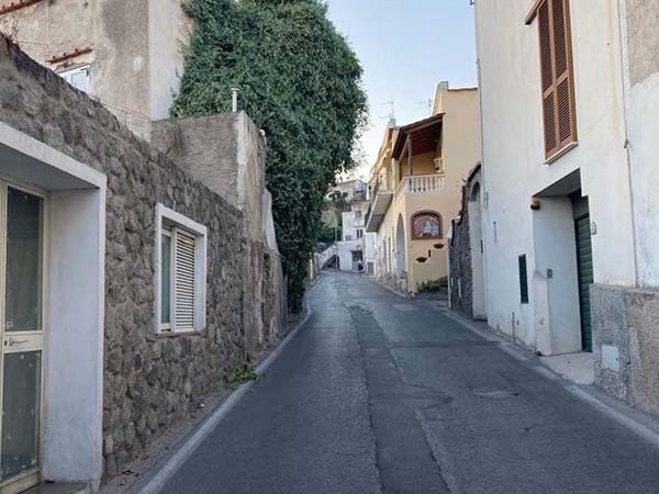 Barano, quella pianta deve essere rimossa, rappresenta un pericolo