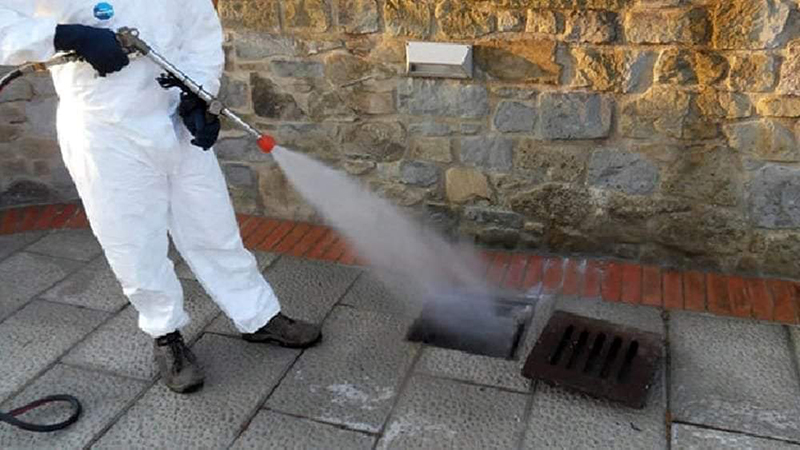 Casamicciola. Questa sera intervento di disinfestazione e deblattizzazione del territorio comunale