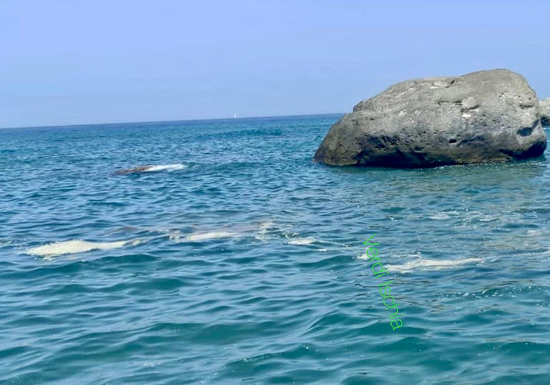 Acqua sporca a Cava dell’isola, dopo un anno sempre lo stesso scenario (video)