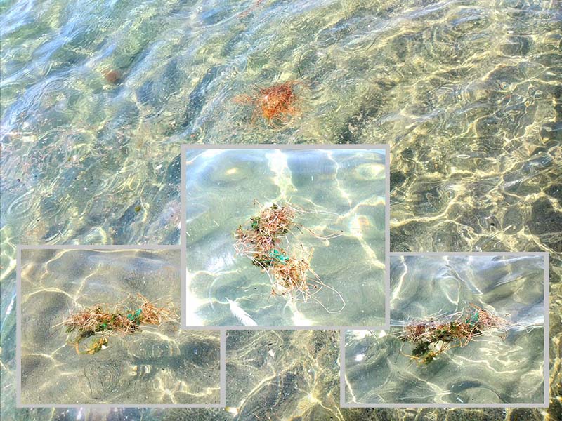 Avviso ai naviganti, i vostri rifiuti depositateli a terra e non a mare