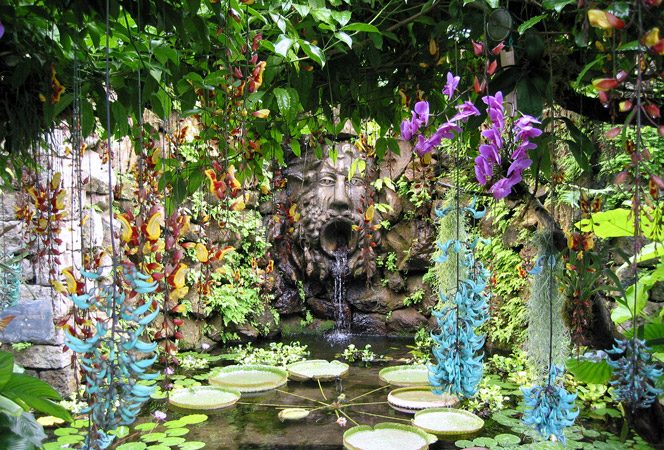Giardini la Mortella: Proseguono anche nel mese di Agosto le visite all’oasi botanica di Forio