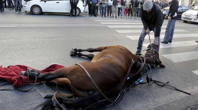 Approvato ordine del giorno alla Camera per lo stop alle botticelle trainate dai cavalli