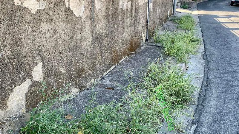 Verdi Ischia, viaggio nel degrado  di via Montetignuso