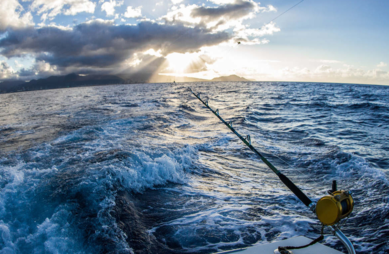 Nel mare di Ischia fai incontri che non ti aspetti (video)