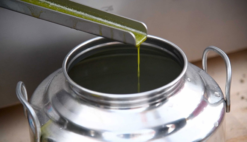 Anacapri, il primo open day negli oliveti dell’Oro di Capri