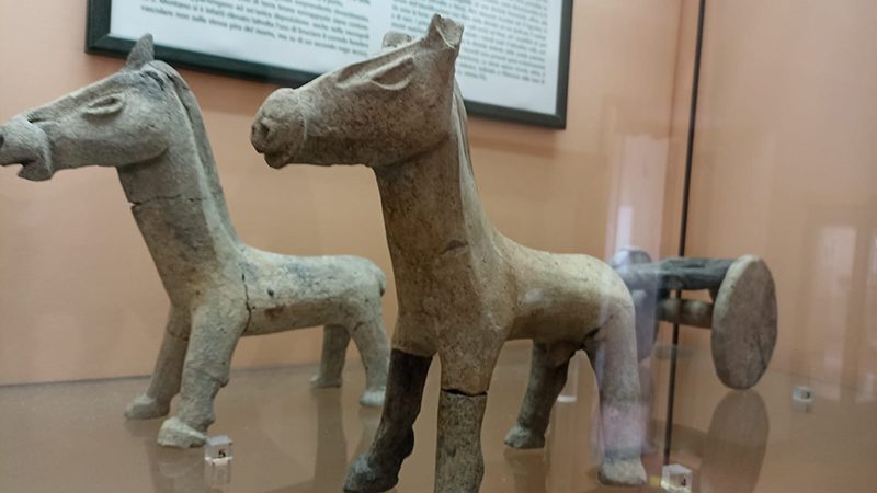 La “Stipe dei cavalli” di Lacco Ameno, località Pastòla