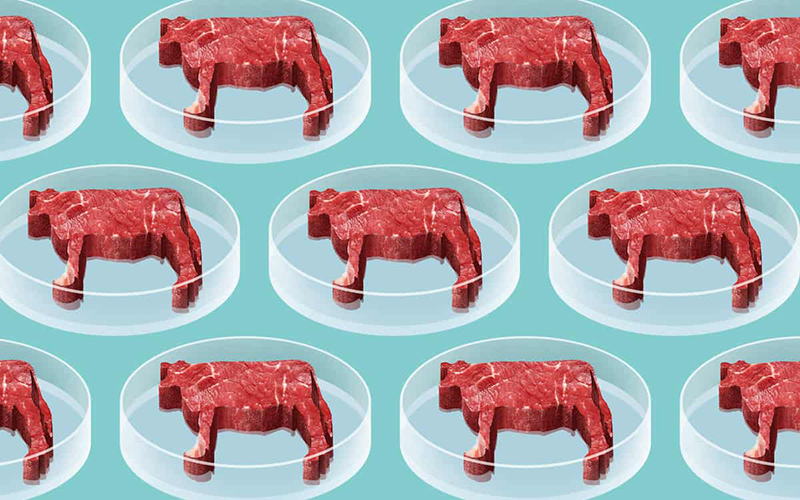 Coldiretti, via libera a prima “carne” in provetta in usa presto in Europa