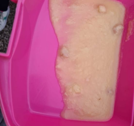 Mensa scolastica a Forio, non si può dare da mangiare questo schifo ai bambini