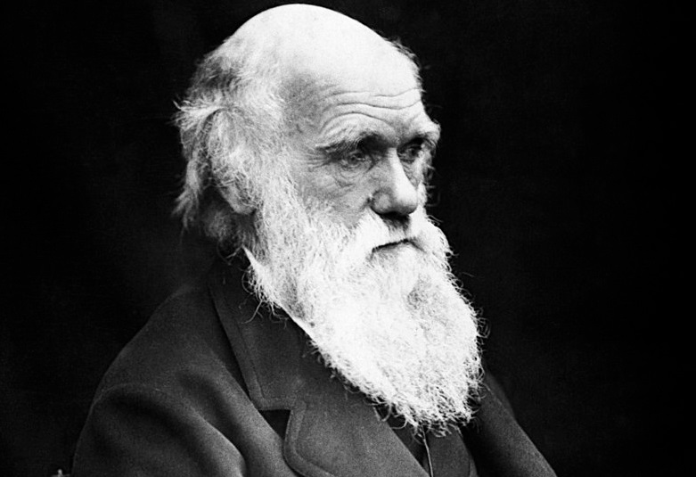 Ischia, alla biblioteca Antoniana wesu Darwin