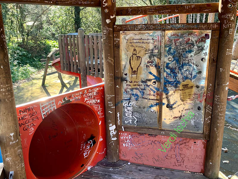 La denuncia di EuropaVerde: “Perché la Pineta degli Atleti non viene curata?” (video)